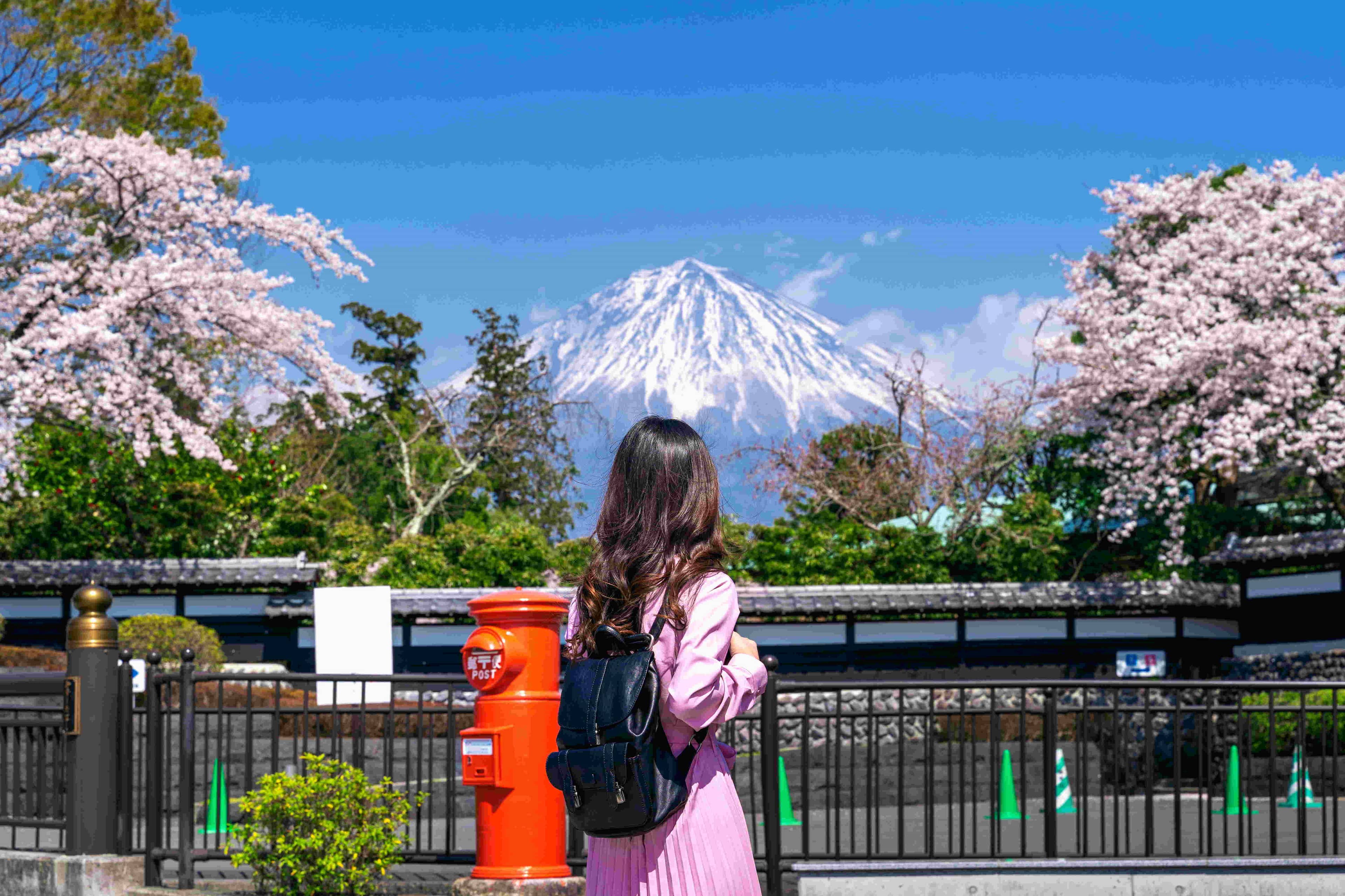 Study in Japan